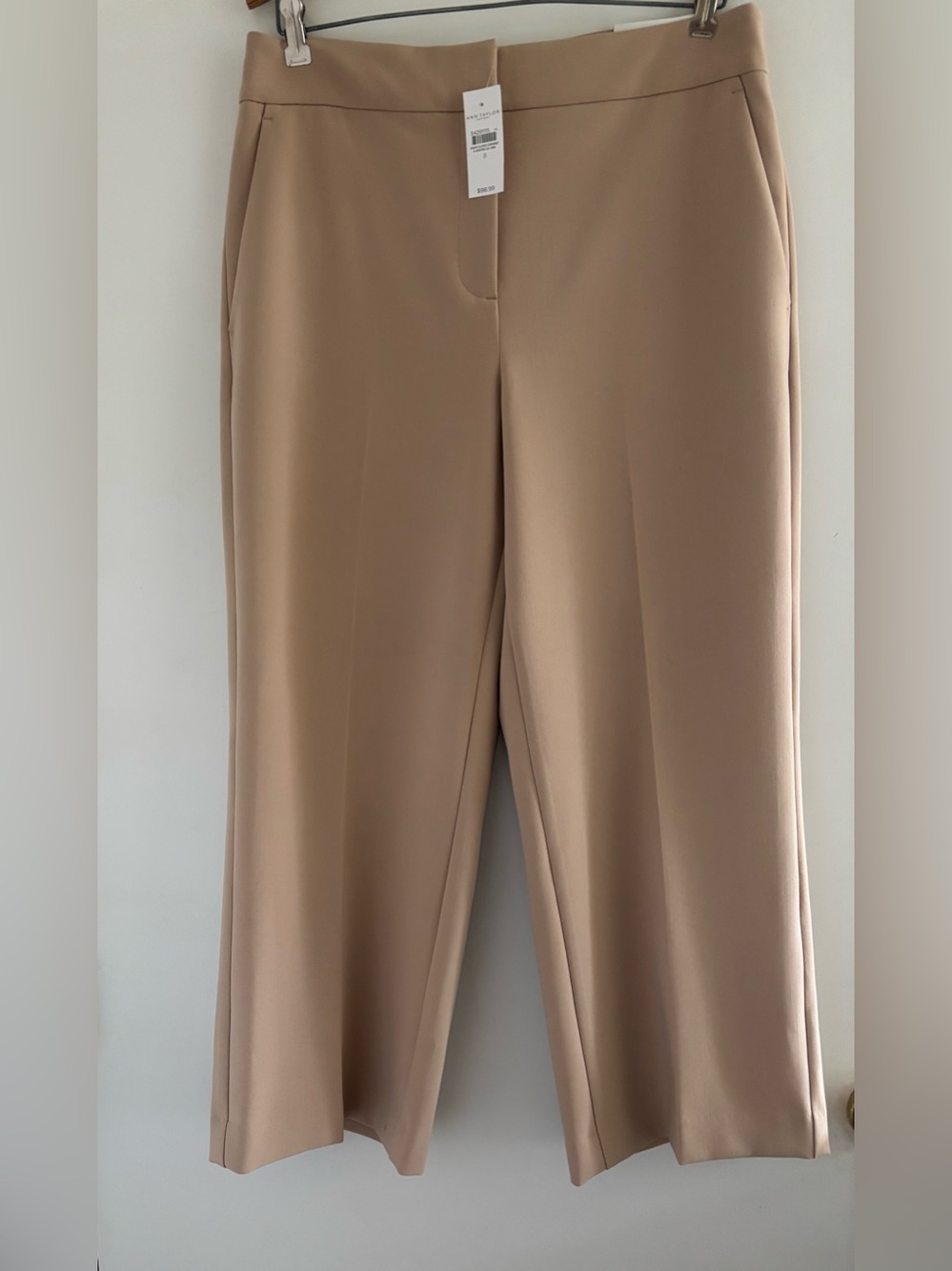 Ann Taylor Factory The Slim Wide-Leg Pant in Beige